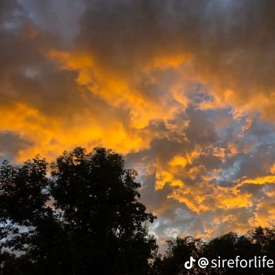 MIRACLEDAN55687's profile picture. Broaden ur horizon💫😌