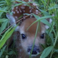 kimi ꩜ (@kimizms) 's Twitter Profile