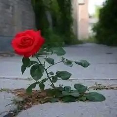 Goddess0903181's profile picture. I bend rules like I bend light.