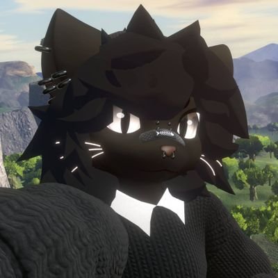 bonjour je m'appelle sinox j'ai 18ans
je suis né le 8 juin 2007
Furry
Avatar principal˸ bat mayu