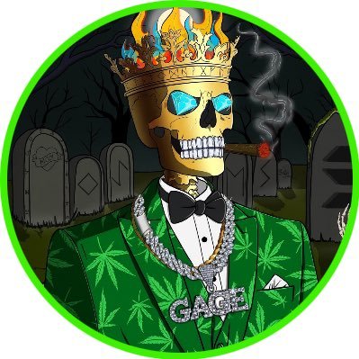 Florida, 30, crypto, weed, humor. @SOLANADEADS reply guy. Never the less still not a rocket scientist, don’t quote me 🚀 @_gagebratz OG alt acct