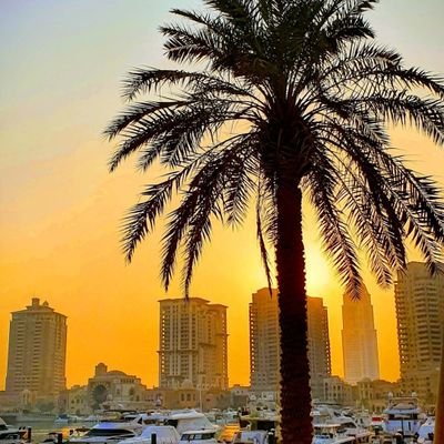 NATSHEH81's profile picture. 