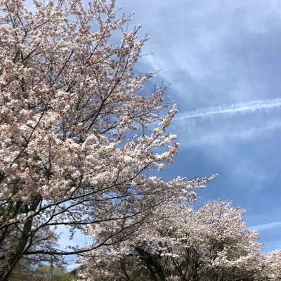 miduki▽冬インテ申し込みするさんのプロフィール画像