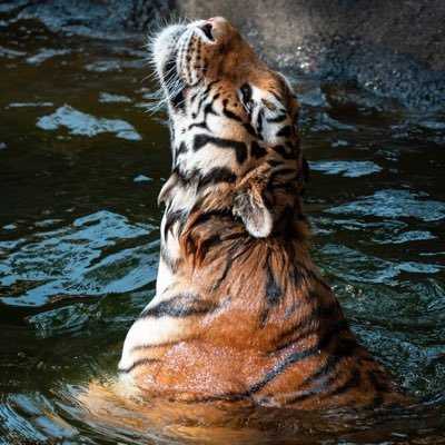 eyezahpearl's profile picture. $eyezahpearl | Creating music for anyone who finds it | Follow me on this incredible journey! | he/they… I am EYEZAH PEARL on all Music Streaming Platforms.