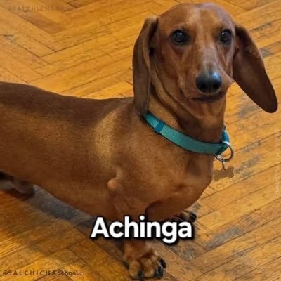 misselocuente's profile picture. Rubia de medias negras.