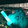 Hkyoon_01's profile picture. 初音ミクと巡音ルカ推し | ピアプロキャラクターズ | プロセカ(バチャシン) | ボカロ好きの皆と繋がりたい | よろしくお願いします！