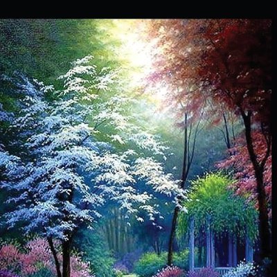 jamesjohan48353's profile picture. ❤️❤️Follow naw 💯💯💯💯💯% Follow back❤️❤️❤️❤️❤️❤️