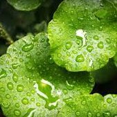 davidwi72920259's profile picture. ❤️❤️Follow naw 💯💯💯💯💯% Follow back❤️❤️❤️❤️❤️❤️