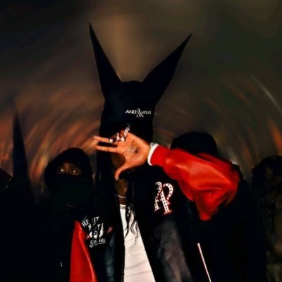 I am a 19 year old Gamer/Streamer, looking for some friends to play with! Follow me on Twitch at li0n120!