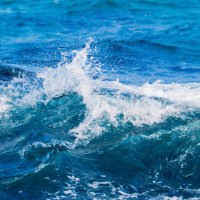 파편 (@naufrag1um) 's Twitter Profile