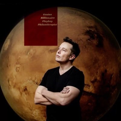 CEO of Tesla Space x Twitter Doge and the leadership of the boring company