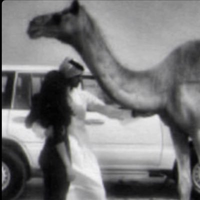 Sa0iij's profile picture. When you’re far away, I still see you.