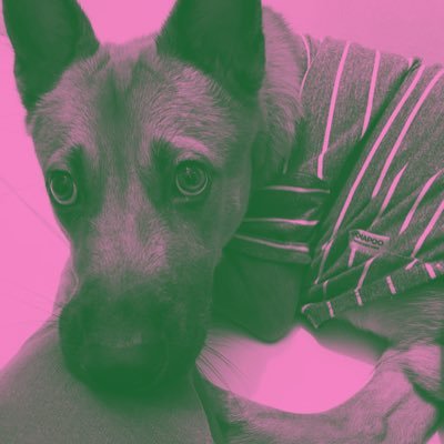 bravoindiaecho_'s profile picture. “Sometimes even to live is an act of courage”