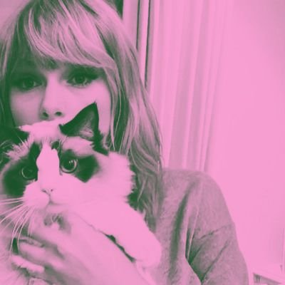 scrpiiow's profile picture. personal acc