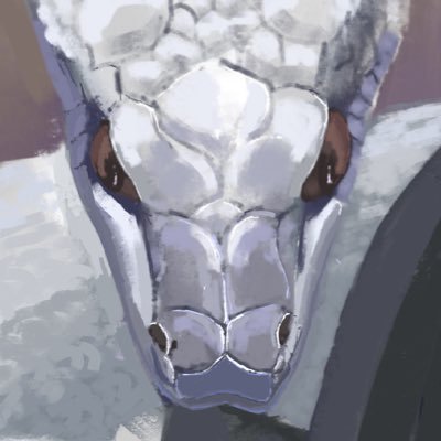 もーさんのプロフィール画像