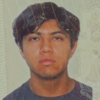 liquidlevels's profile picture. me gusta minecraft