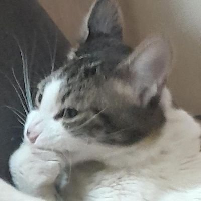 MaruAki65140199's profile picture. quero bater uma só