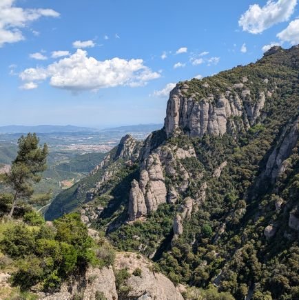 taiten_tengoku's profile picture. あらゆるカルト宗教における宗教二世の苦しみをなくしたい。
私は創価学会3世です。
子供を強制的に宗教に入会させるのは辞めよう！子供の信仰の自由を守ろう！