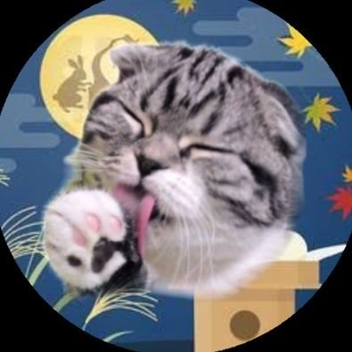 羊毛フェルト制作と我が家の猫様を載せています。ふぅちゃん/スコティッシュフォールド/♀/15歳/虹組おちゃくん🌈羊毛フェルトは現在オーダー受付お休み中です🙇🏻♀️՞Instagramには完成品のみupしてます📸