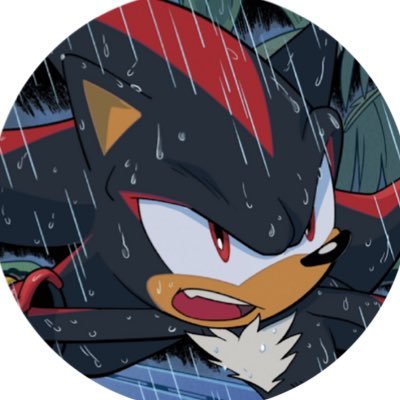 Big fan of the Sonic franchise | Shadow the Hedgehog enthusiast | Provider of Shadow content | 18 | She/Her | Gf: @LucysIdk💜