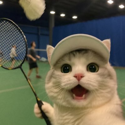 guanxx871126's profile picture. 