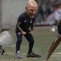 miguel181103gv's profile picture. 