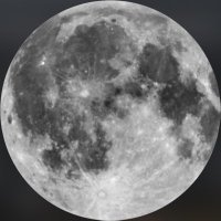 R (@rnulln_) 's Twitter Profile