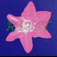 kyubie (@aozerotumn) 's Twitter Profile