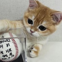 λ.. (@dearmyb1uu) 's Twitter Profile Photo λ.. (@dearmyb1uu) 's Twitter Profile Photo