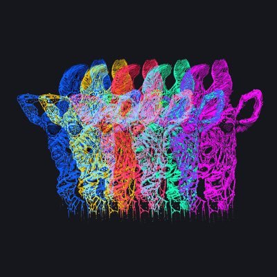 Weird experimental rock from New Jersey