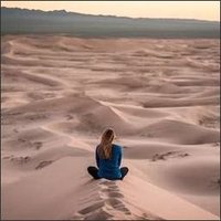PollyWilde (@ra3hbppiedvn4) 's Twitter Profile