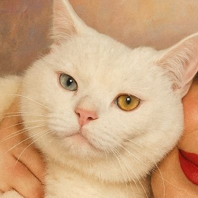 th235303's profile picture. زندگی = چای، گربه، رنگ و یه عالمه خلاقیت