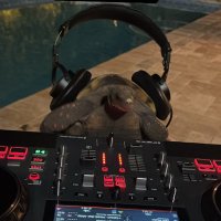 Disco Boy 🪩 (@disco_bumps) 's Twitter Profile