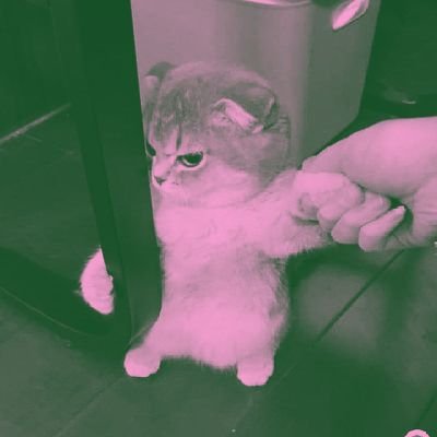 uyahgarem's profile picture. uyah itu garem, garem itu asin