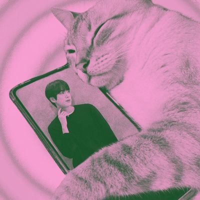 🔞 – seokjin bott harem enthu; homophobic get out pls.
trakteer : https://t.co/nbK6lj6IDk
karyakarsa :
https://t.co/HalCFM5RC6