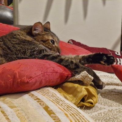mariannaan91580's profile picture. 