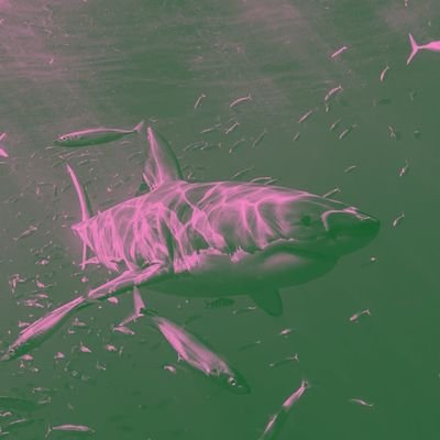 ᨦ ꒰ 𝐟𝐚𝐧𝐠𝐢𝐫𝐥𖧷𝐢𝐧𝐠 + 𝐜𝐞𝐠𝐢𝐥 + 𝐫𝐚𝐧𝐝𝐨𝐦 ! 𓂃 ࣪˖ ⊹
𖥔 . ˒˒ 【 #𝐬𝐯𝐭 】𔘓 ‧₊˚. #𝒋𝒘𝒘 ‹𝟹