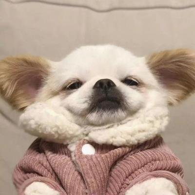 harukuroneko55's profile picture. 