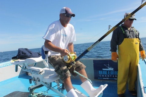 Giant Bluefin Tuna Fishing in Nova Scotia, Canada. Come catch a 1,000+ pound Giant Bluefin Tuna  in August or September.