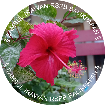 Samsiraw68's profile picture. 