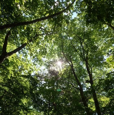 2025年に山とトレランにハマった40woman👩。キッカケって分からんもんですNe( ᎔˘꒳˘᎔)