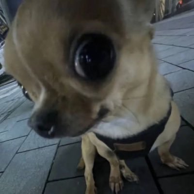 teddyban01's profile picture. 