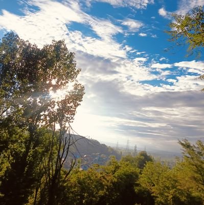 ____Mmk_____'s profile picture. 🍁
                                                                                                   
           🍂