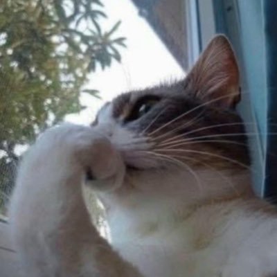 neelkiii's profile picture. @soka1337