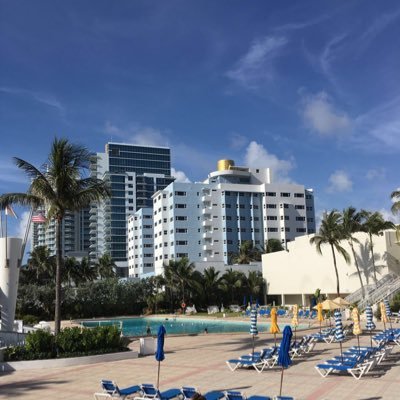 Skybluebelg's profile picture. 