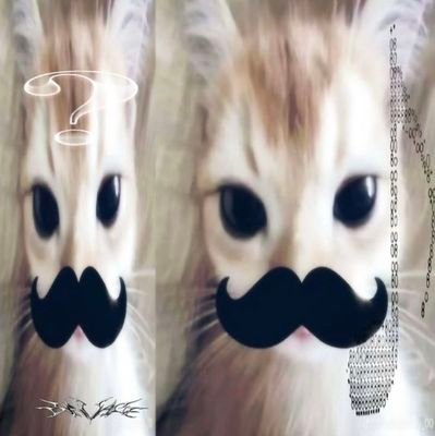 nngatito's profile picture. en un pozo depresivo
