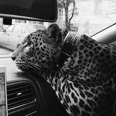 wut4x's profile picture. ⠀⠀ ⠀⠀ ⠀⠀⠀ ⠀⠀ ⠀⠀⠀ ⠀⠀⠀⠀ ⠀⠀هلس وأشياء أخُرى⠀⠀ ⠀⠀ ⠀⠀ ⠀⠀ ⠀⠀⠀⠀ ⠀⠀ ⠀⠀ ⠀⠀ ⠀⠀ ⠀⠀🇸🇦🇰🇼