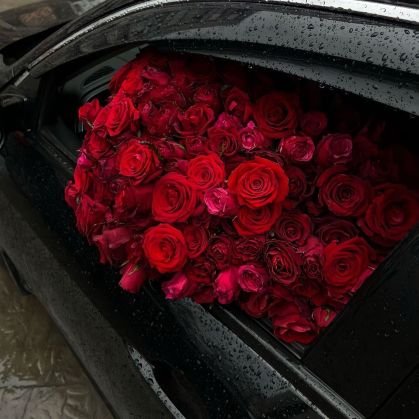 Malak7ussien's profile picture. AI Eng.