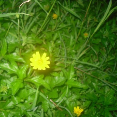 ItLuminousP's profile picture. ผู้สนับสนุนที่ส่องแสงให้เสมอ แม้จะอยู่ในมุมมืด “ #HEARTchuthiwat ”