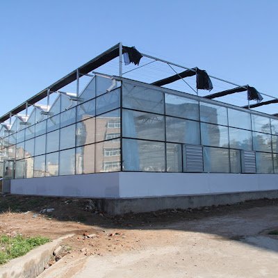 liqiangyu275929's profile picture. A greenhouse manufacturer from China that can produce high-end intelligent glass greenhouses, solar panel greenhouses, and film connected greenhouses. Welcome t